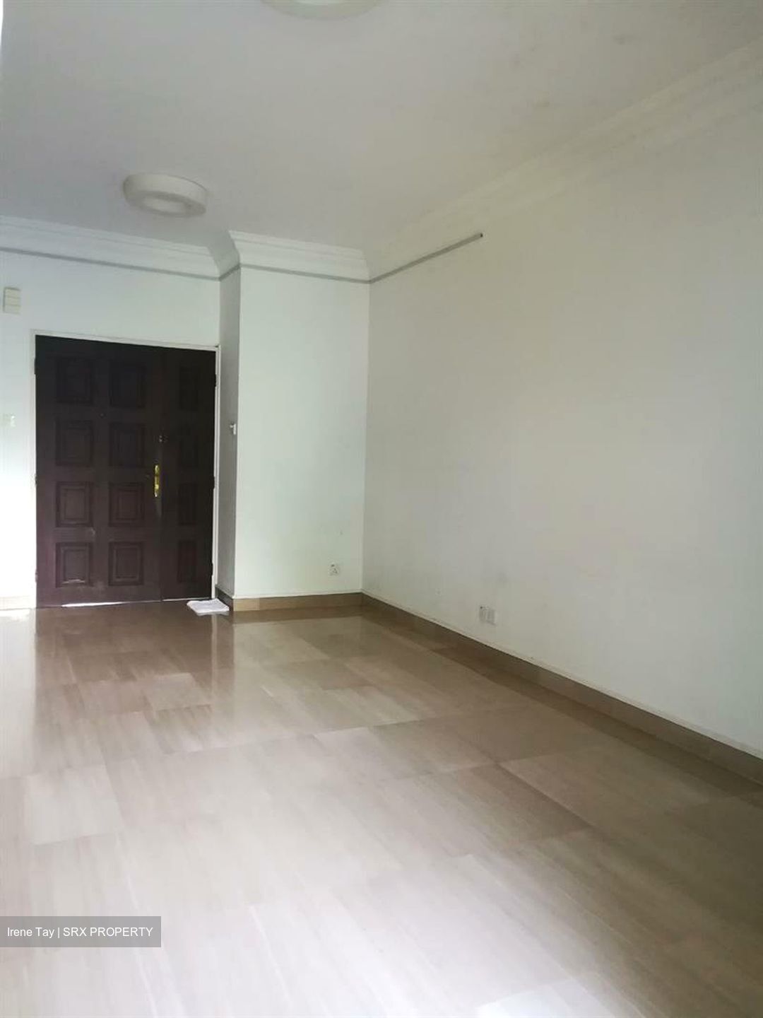 Tanglin Park (D10), Condominium #565680541